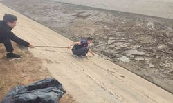 Kanala düşen köpek, itfaiye ekiplerince kurtarıldı