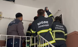 Niğde’de kelle ütme paniğe neden oldu