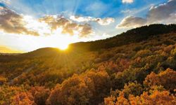 Hazan mevsimi güzelliği