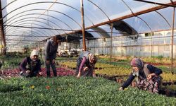 Kadın emeğiyle yerel kalkınma güçlendiriliyor