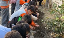 Ata tohumları toprakla buluştu