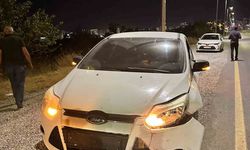 Otomobilin çarptığı domuz telef oldu