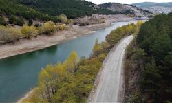 Yozgat’ta ağaçlar sonbahar renklerine büründü