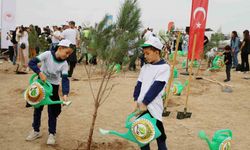 Adana’da 840 bin fidan toprakla buluştu