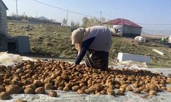 Patatesler geleneksel yöntemle toprağa gömülerek korunuyor