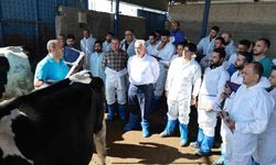 60 ilin personeline ineklerin başında uygulamalı eğitim