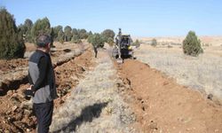 11 bin orman fidanı daha toprakla buluşturulacak