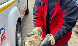 Mazgala sıkışan kirpiyi itfaiye kurtardı