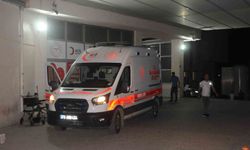 Yedikleri pizzadan zehirlenen 4 kişiden 1'i hayatını kaybetti