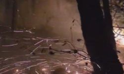 Ormanlık alandaki yangın 16’ncı saatte kontrol altına alındı