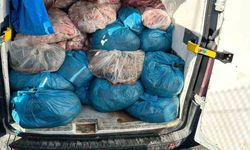 Kaçak sakatat operasyonu: 2 ton ele geçirildi