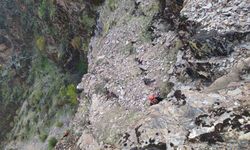 Kayalıklarda mahsur kalan keçiler kurtarıldı