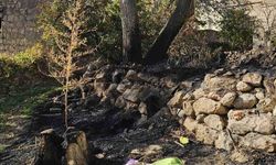 Bahçe temizliği facia ile sonuçlandı