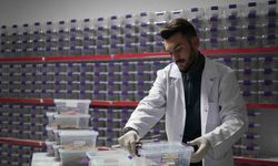 Niğde’den dünyaya ’akrep zehri’ ihracatı