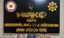 Ordu’da uyu*şturucu operasyonlarında 2 tutuklama