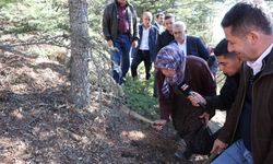 Mantar toplayanlar için uyarı: "Her mantar toplanmaz"