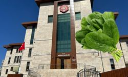 Niğde’de 11 kişiyi güzel avrat otu zehirlemiş