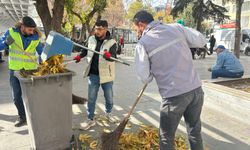 Niğde’de Şadırvan Park sonbahar temizliğiyle düzenleniyor