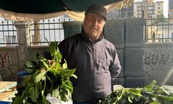 Niğdeli üreticiden uyarı: “ Ispanak alırken dikkat edin”