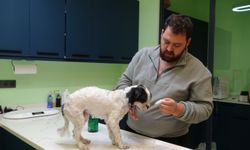 Niğde’de kediniz ve köpeğiniz için son şans!