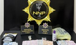Niğde’de uyuştu*rucu operasyonunda 11 şahıs yakalandı