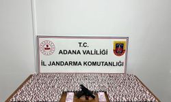 Jandarma 23 bin 876 uyuştu*rucu hap ele geçirdi