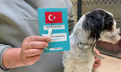 Niğde’de evcil hayvanlar için son gün 31 Aralık