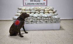 60 kilo uyuştu*rucu ele geçirildi