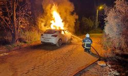 Otomobil alevlere teslim oldu