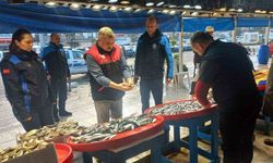 Denetim geldi, gerçek ortaya çıktı