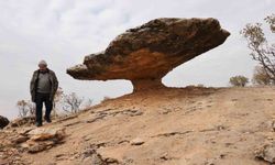 Buzul çağ kalıntısı: Tam 6 milyon yıl önceye ait