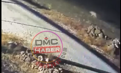 Hasaköy’de kurt sürüsü görüntülendi