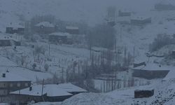 43 yerleşim yerinin yolu ulaşıma kapandı