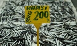 Hamside bolluk azaldı, fiyatı 200 TL'ye çıktı