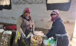 Hasadı biten patateste depolama süreci başladı