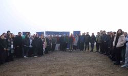 Öğrenciler 500 çam fıstığı fidanını toprakla buluşturdu