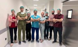 Ses teli felcine kalıcı çözüm