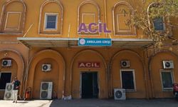 Tırın çarptığı yaşlı kadın hayatını kaybetti