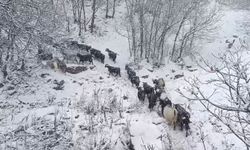 Yüksek rakımlı köylerde kar etkili oldu