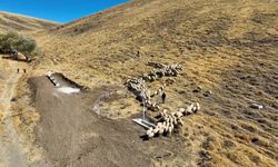 Niğde'de meralara yeni hayvan içme suyu alanı kazandırıldı