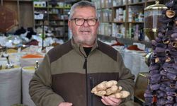 Soğuk havalarda bitki çayına ilgi yoğun