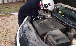 Üşüyen kedi, otomobilin motoruna girdi