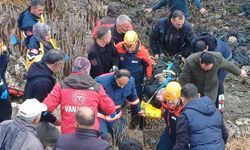 Kontrolden çıkan araç bataklığa uçtu: 5 yaralı