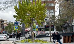 Niğde’de ağaçlar budanarak kışa hazırlanıyor