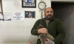 Niğdeli esnaftan örnek davranış: Yaralı kediye sahip çıktı