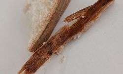 Bor’da satın alınan ekmeğin içinden bakın ne çıktı