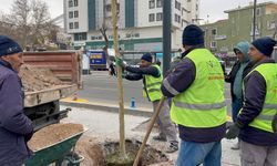 Niğde’de Ömer Halisdemir Meydanı önünde ağaçlandırma çalışması