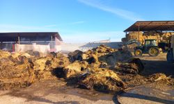 Alay'da saman balyaları yandı!