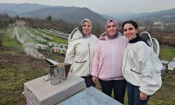 Anne ve kızları arıcılık mesleğiyle kestane balı üretiyor