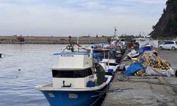 Hamsi yoğunluğu yaşandı, palamut çıkmadı